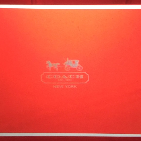 AUTHENTIC COACH SHOE - PRINTED SNAKE - Picture 3 of 7